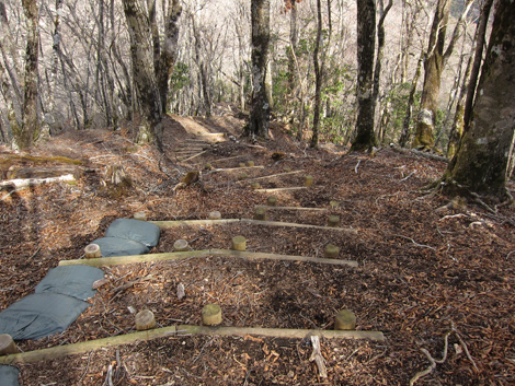 20200110hike (221)
